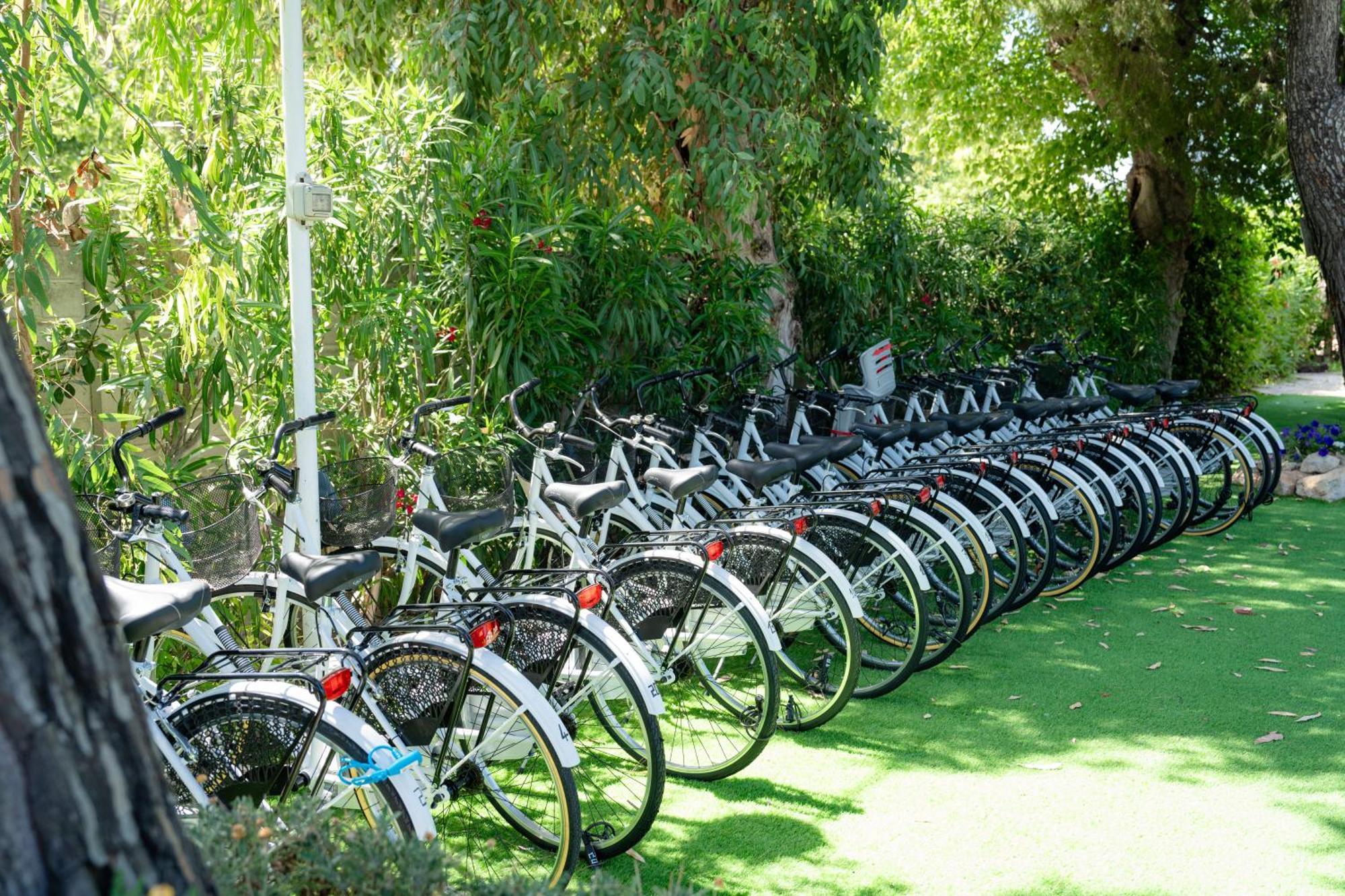 Club Del Sole Stork Family Collection Hotel Giulianova Bagian luar foto